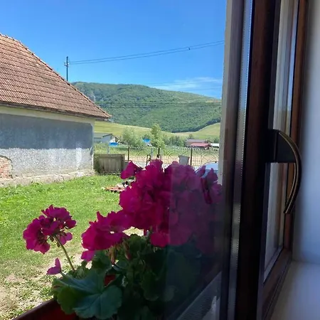 Dom wakacyjny Casa Cheilor Petreştii de Jos