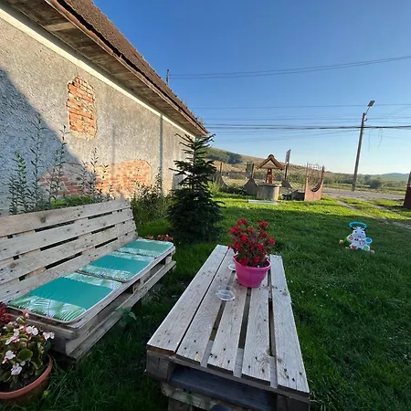 Casa Cheilor Petreştii de Jos