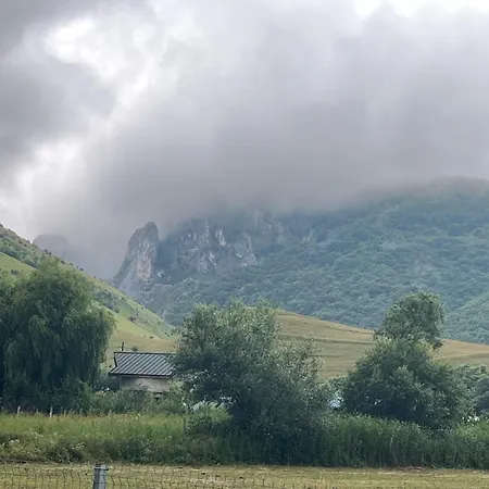 Casa Cheilor Petreştii de Jos